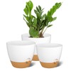 ZMTECH 9/10/12 Inch Plant Pots Sets, Selfwatering Planters with Drainage