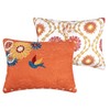 Barefoot Bungalow Topanga Pillow Sham, Standard, Orange