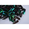 200 Jewel Beetle Elytra | Sternocera aequisignata | Iridescent Wing