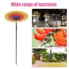 Bird Feeders for Outdoors | Bird Baths for Outdoors -