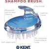 SH1 Shampoo and Scalp Massage Brush (Blue)