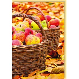 Skorpion Autumn Greetings: Colourful Apples in Wicker Baskets Surrounded by Leaves - Perfect for Any Occasion - with Envelope