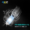 RCP BA20D S1/S2 Universal Halogen Bulb, 35W, 12V, 5000K, For