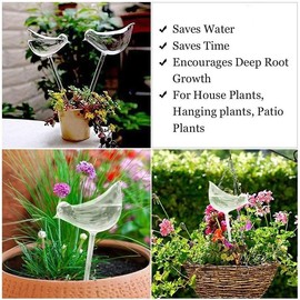 Plant Watering Globes with Bird Design, Self-Watering Bulbs for Plants, Crystal Clear, 3 Pack