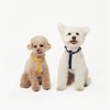 PETHROOM [Pestroom] No-Touch Cushion H Harness + Anti-Shock Manner Leash