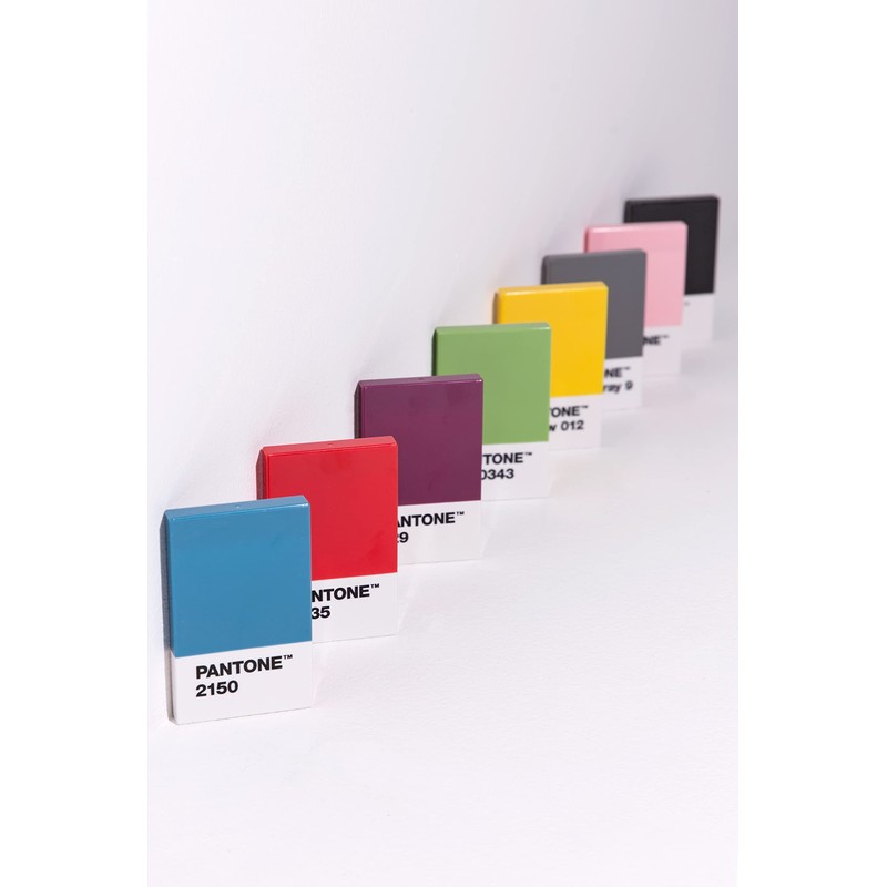 Pantone 108000419 419 °C Black Plastic Holder 6 x 9.50
