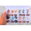 12Pcs Crystal Tree Box, Crystal Mystery Box, Beautiful Small Crystal