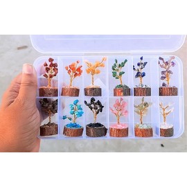 12Pcs Crystal Tree Box, Crystal Mystery Box, Beautiful Small Crystal Tree, Gemstone Tree Box, Money Tree Box, Feng Shui Home Decor Gift
