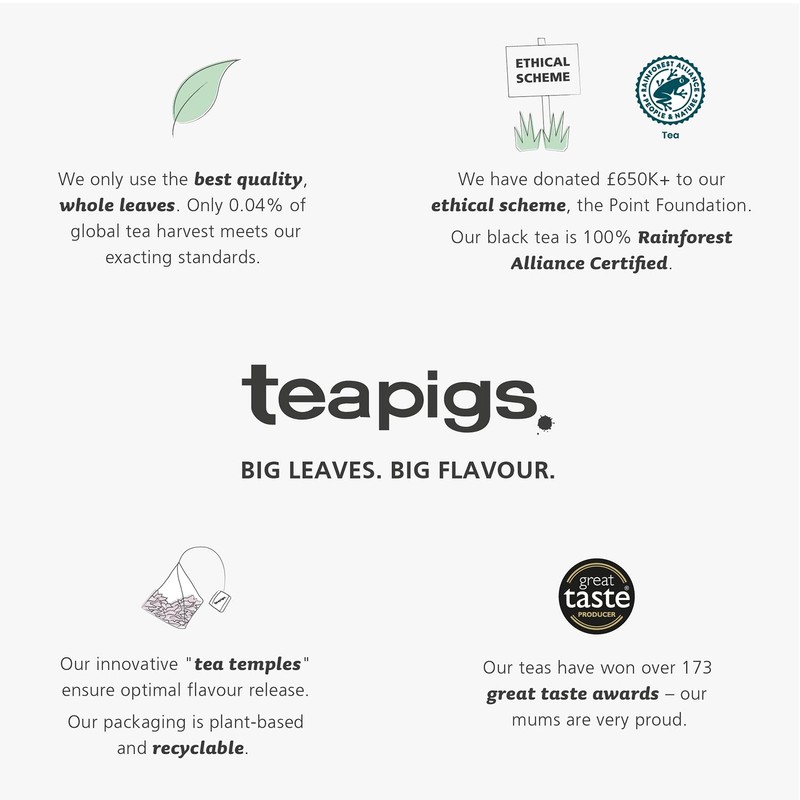 Teapigs Peppermint Leaves Tea Bags Made with Whole Leaves (1