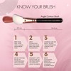 Allure Professional Makeup Brushes for Face- Rose Gold - Luxe