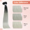 Ukira Black Silver Hair Extensions for Women Real Human Hair,