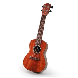 Raimy Kids Guitar Ukulele - 21in Ukulele Guitar Toys for Kids Ages 3 4 5 6 7+ Year Old Boys Girls Simulated Sound Quality Music Instruments Learning Education (Mahogany)