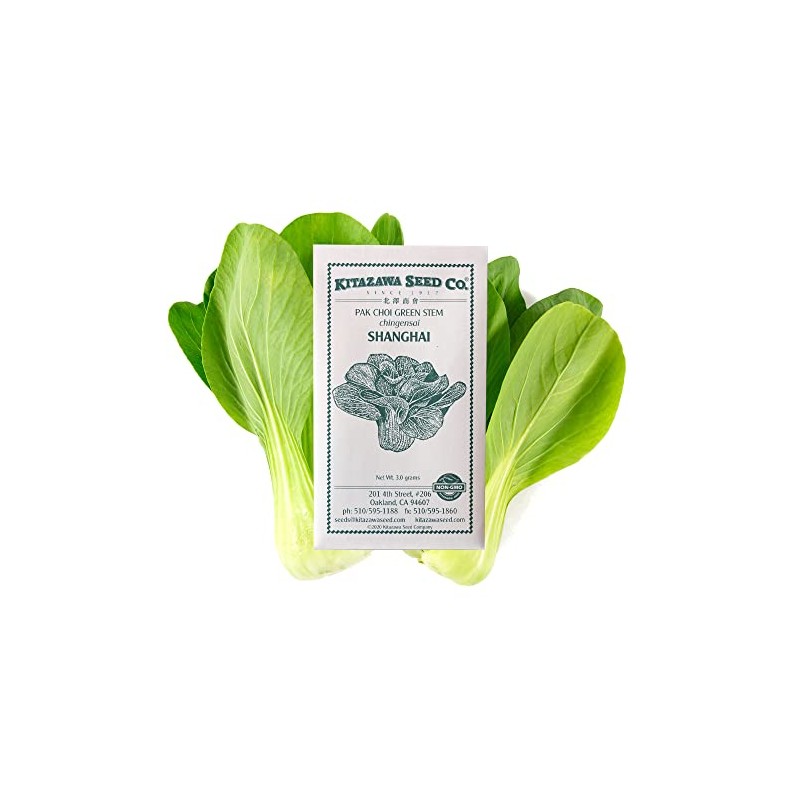 Cabbage Seeds - Pak Choi - Shanghai -3 g Packet