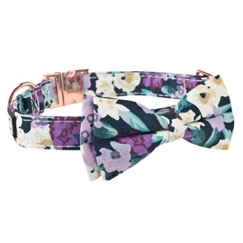 NISIYE Premium Dog Collar, Cute Dog Collars Luxury Style, Durable Pet Collars with Metal Buckle Safety for Big Dogs …