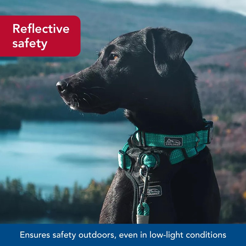 Coastal Pet - K-9 Explorer - Brights Reflective Adjustable Dog