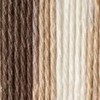Sugar'N Cream Yarn - Ombres-Chocolate