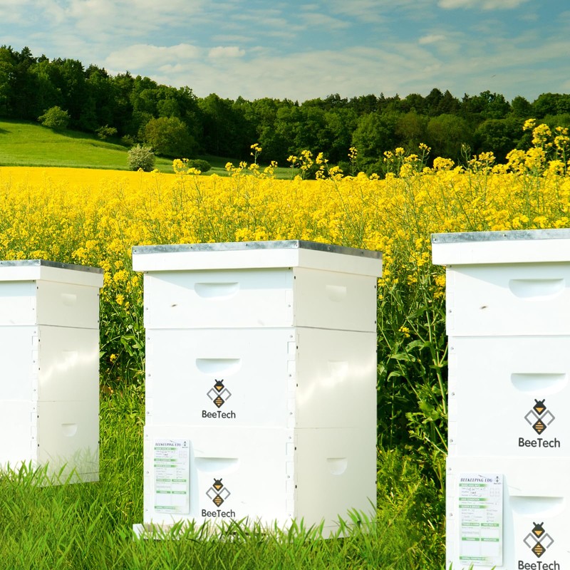 BeeTech Newest Windows 8 Frame Bee Hive Kit Hand Painted