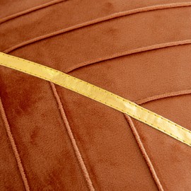 WACOMECO Velvet Throw Pillow Covers, Pack of 2 Soft Gold Decorative Cushion Covers for Couch Sofa Living Room Home Decoration, Burnt Orange, 18x18 inch