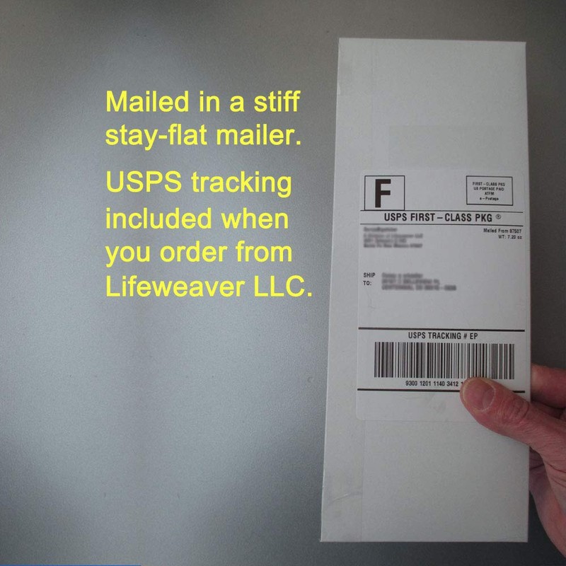 God Protect me from Your Followers! Bumper Sticker.