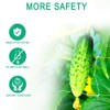 Heavy Duty Trellis Netting Roll - 79''x328' Plastic Plant Trellis