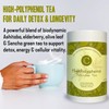 High‑Polyphenol Ashitaba Tea Blend – Demeter Certified Biodynamic U.S. Organic