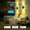 Smart Outdoor Wall Lights 2 Pack, IP65 RGB Wall Lights