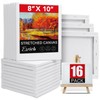ESRICH Stretched Canvas for Painting 8x10, 16 Pack 8x10 Canvas