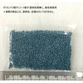 Fukkaen Seedlings, Daikandra Seeds (Coat Seeds), Pack of 3.4 fl oz (100 ml) (For Ground Cover)