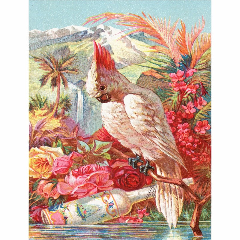 Florida Water Rice Paper, 8 x 10.5 Inch - for