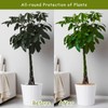 Legigo 4pcs Coconut Fiber Mulch Ring Tree Plant Protector Mat,