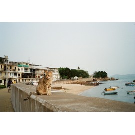 RETOCOLOR Prism 200 35mm Color Negative Film, 36EXP, ISO200, C41-processing, DX-Coded