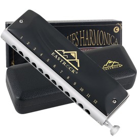 EASTROCK Chromatic Harmonica, 12-Hole 48 Tones Mouth Organ C Key for Adults and Beginners