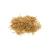Design61 Round Head Nails 1.0 x 12 mm Brass Plated