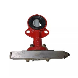 Bray Series 30, 2" Butterfly Valve 175 PSI **SALE**