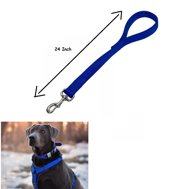 City Traffic Lead Strong Short Dog Control Handled Leash 2