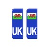 Gelz Domed Wales Flag UK Vehicle Number Plate Stickers -