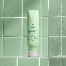 Natura Tododia Acondicionador Detox Capilar, Té de Hierbabuena y Jengibre, 280 ml