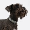 BuddyArmor Dog Collar Pro, Soft Lightweight Dog Collar with Metal