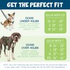 2 Hounds Design - Freedom No-Pull Harness & Training Leash