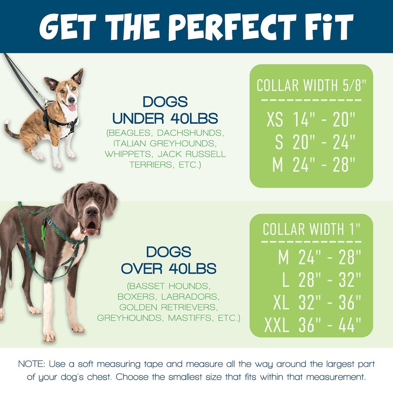 2 Hounds Design - Freedom No-Pull Harness & Training Leash