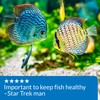 API pH UP Freshwater Aquarium Water pH Raising Solution 1.25-Ounce