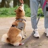 EMUTOL Portable Dog Treat Pouch, Magnetic Closure Dog Walking Snack