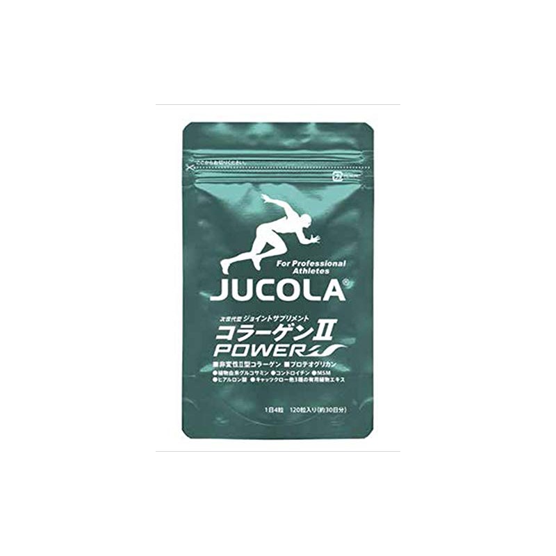 コラーゲン2パワー（120粒入）