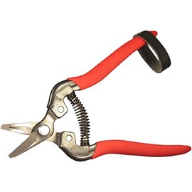 Corona Short Curved Blade Snip