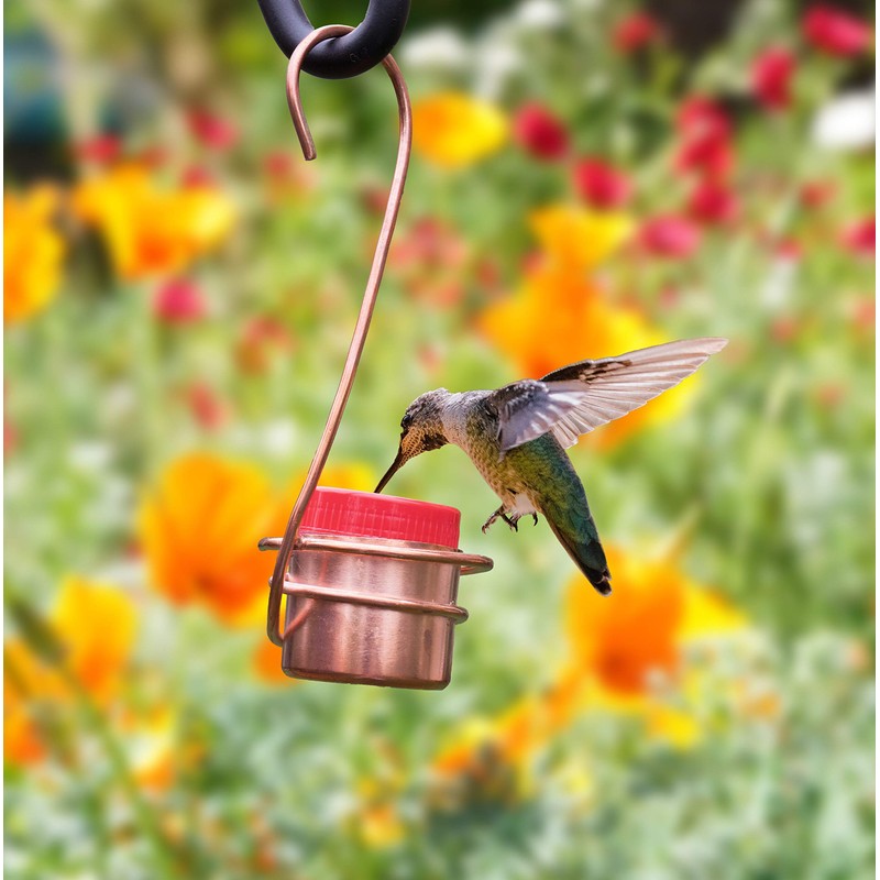 Monarch Abode Handcrafted Premium Pure Copper Hanging Hummingbird Feeder for