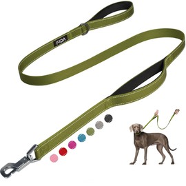 Fida 4 FT Heavy Duty Dog Leash with 2 Comfortable Padded Handles, Traffic Handle & Advanced Easy Snap Hook, Reflective Walking Lead for Large, Medium & Small Breed Dogs, Green