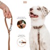 Waterproof Dog Leash | BearBone Double Ended Dog Leash |