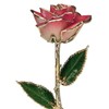 24k Gold Rose - Real Rose Dipped in Gold (2-Tone