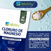 Wellthy Cloruro De Magnesio En Polvo 700g Sabor Neutro
