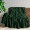 PAVILIA Super Soft Fleece Throw Blanket Twin Emerald Green, Fuzzy